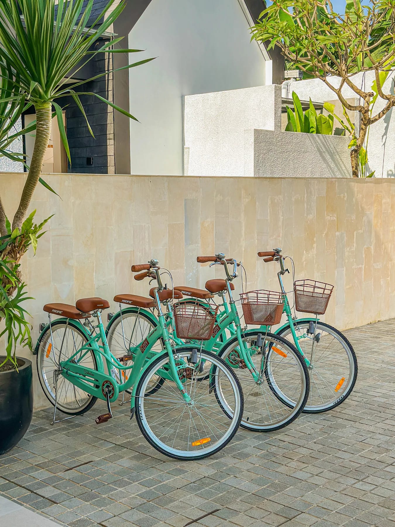 Guest bicycles lined up in the Tannari Villas driveway