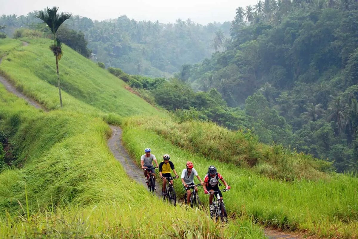 Cyclists descending a narrow path through lush green Ubud hillsides in the rain