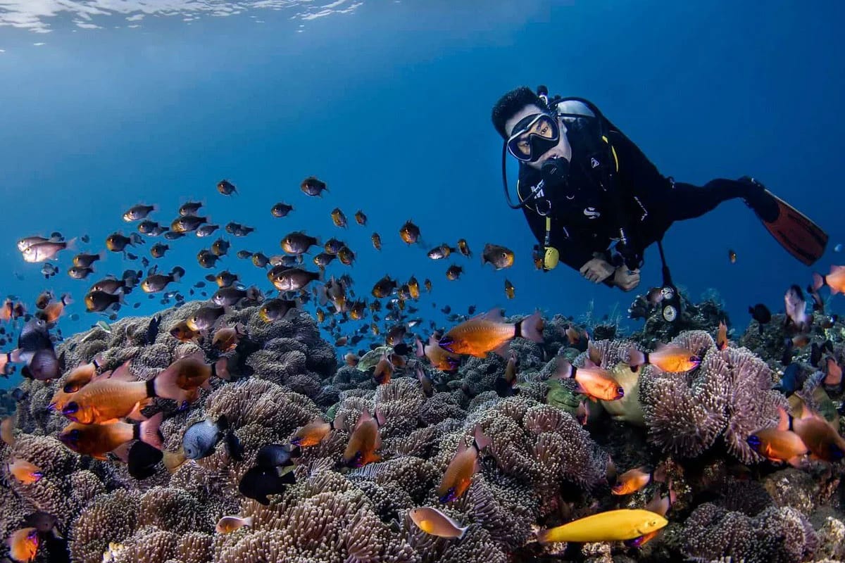 Diver gliding over a vivid coral reef surrounded by tropical fish in Bali